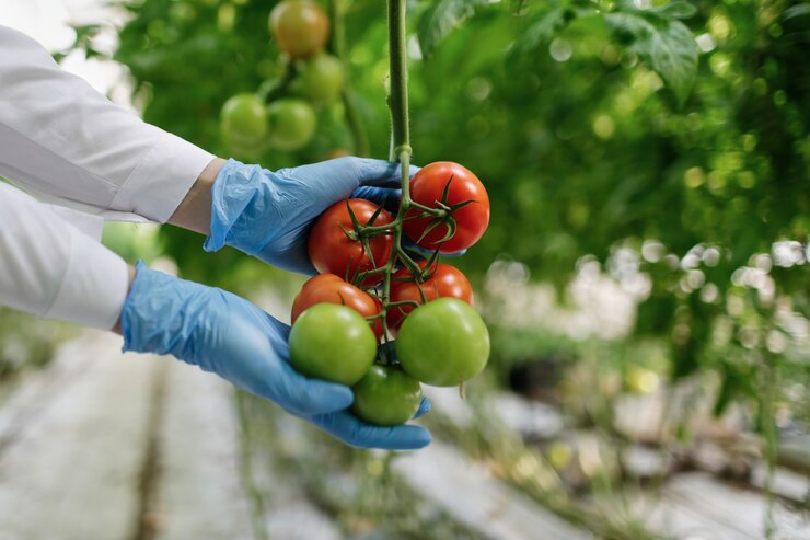 Agriculture in the Food System